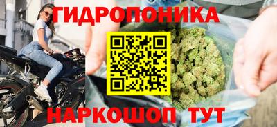 винт Бийск