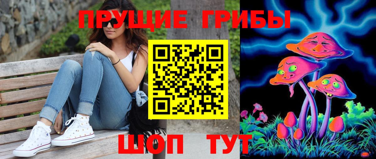 Артём  Галлюциногенные грибы GOLDEN TEACHER  Галлюциногенные грибы GOLDEN TEACHER  Вход с VPN 